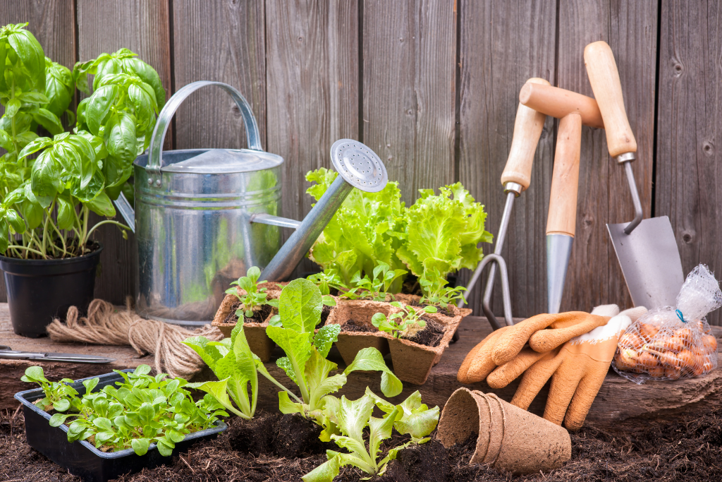Plants and gardening tools for spring and summer.