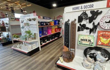 Feeds'n Needs Large Selection of Home Decor