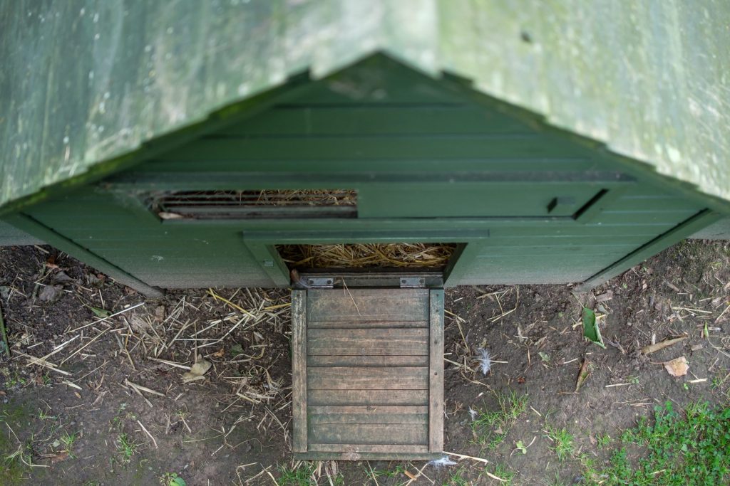 Top down view of the front of a timber chicken coop showing the opened main entrance and vent slot. Situated in a private garden. Proper Chicken Coop Ventilation