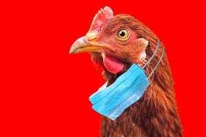 Biosecurity Measures & Prevention Biosecurity